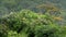 Aerial view. Beautiful landscape of the amazon rainforest, Yasuni National Park, Ecuado.