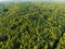 Aerial view of beautiful mixed pine and deciduous forest in Lithuania