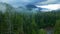 Aerial view of beautiful mountain landscape. A river flows among tall trees