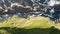 Aerial view of the beautiful Mykines island in Faroe Islands