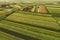 Aerial view of beautiful plain countryside landscape with cultivated fields of corn and sunflower