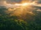 Aerial view, Beautiful rainforest at sunset