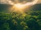 Aerial view, Beautiful rainforest at sunset