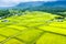 Aerial view of Beautiful Rice Fields in taitung . Taiwan