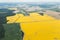 Aerial view of a beautiful rural area with yellow and green fields with rapeseed.