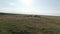 Aerial view of beautiful rural fields with a tractor machine and old barns. Shot. Flying above wide endless green field