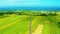 Aerial view of beautiful terraced rice field and road .Taitung ,Taiwan