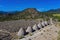 Aerial view of the beautiful Ward Charcoal Ovens State Historic Park