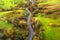 Aerial view of beautiful winding road in green hills