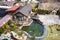 Aerial view of beautifully landscaped recreation house cottage complex with pond in ecological area on bright sunny day. Modern