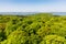 Aerial view of beech trees on Ruegen, Germany