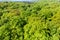 Aerial view of beech trees on Ruegen, Germany