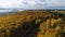 Aerial view birch and pine wood against quiet lake in autumn