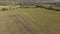 Aerial view, bird`s eye, flock of sheep running through the fields