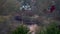 Aerial View of Birds Flying over a Small Lake Early Morning