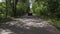 Aerial view black car driving on countryside road among green woodland back view