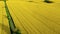 Aerial view of blooming yellow rape field in spring