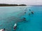 Aerial view of Boats Staying near Mnemba Atoll in Zanzibar - The Famous Spot for Snorkeling and Boat Tour