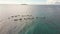 Aerial view boats with tourist people for feeding wild whale shark floating in sea. Drone view feeding boats sailing in