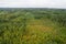 Aerial view of bogs, pine forest in different colors