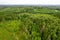 Aerial view of bogs, pine forest in different colors