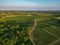 Aerial view Bordeaux Vineyard at sunrise, Entre deux mers, Gironde