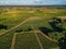 Aerial view Bordeaux Vineyard at sunrise, Entre deux mers, Gironde