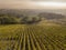 Aerial view Bordeaux Vineyard at sunrise, Entre deux mers, Langoiran, Gironde