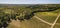 Aerial View, Bordeaux vineyards, Saint-Emilion, Gironde department, France