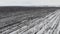 Aerial view of borrowed apple orchards covered with snow on a cloudy day aerial view over