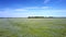 Aerial view boundless field of blossoming buckwheat