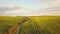 Aerial view of bright green agricultural farm field with growing rapeseed plants and cross country dirt road at sunset.