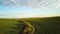 Aerial view of bright green agricultural farm field with growing rapeseed plants and cross country dirt road at sunset.