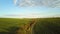 Aerial view of bright green agricultural farm field with growing rapeseed plants and cross country dirt road at sunset.