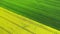 Aerial view of bright green and yellow agriculture fields.