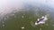 Aerial view of Bryde\'s whale and many birds go hunting on the beach, Eden\'s whale in gulf Thailand.