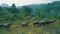 Aerial view of buffalo herd at riverside in beautiful green Chiang Rai area