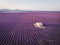 aerial view of building on cultivated lavender field provence france