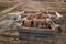 Aerial view of building site. Trenches dug in ground and filled with cement as foundation for future house, brick basement floor