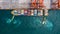 Aerial view bulk carrier dock, Global business import export logistic and transportation company, Commercial dock container cargo