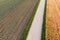 Aerial view cabbage crops on field