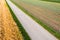 Aerial view cabbage crops on field