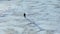 Aerial view: camera following the man, who crossing the snow desert