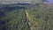 Aerial view camera from green forest of dense mixed tree tops of pine trees and birches. Clip. Aerial view flying over