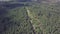 Aerial view camera from green forest of dense mixed tree tops of pine trees and birches. Clip. Aerial view flying over