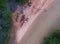 Aerial view. Camp ATV drivers in the forest by the river.