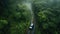 Aerial view of a car driving through a forest