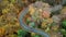 Aerial view of car passing curvy road in forest. Autumn high in mountains