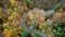 Aerial view of car passing curvy road in forest. Autumn high in mountains