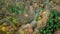 Aerial view of car passing curvy road in forest. Autumn high in mountains